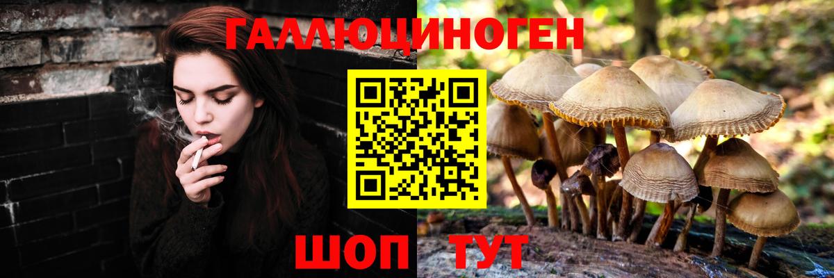 Псилоцибиновые грибы MAGIC MUSHROOMS  Вход с VPN  купить наркотики сайты  Кострома 